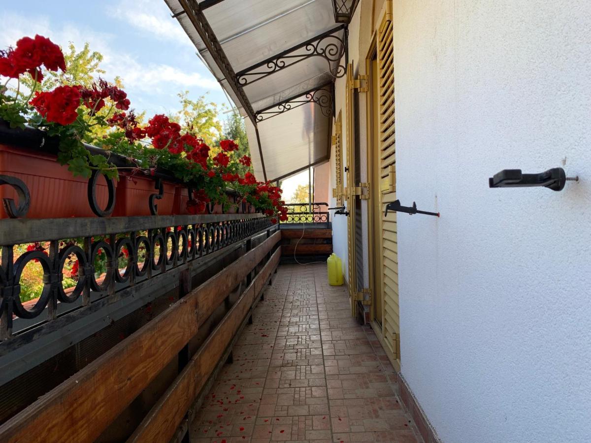 Domacinstvo Bakic Konuk evi Irig Dış mekan fotoğraf